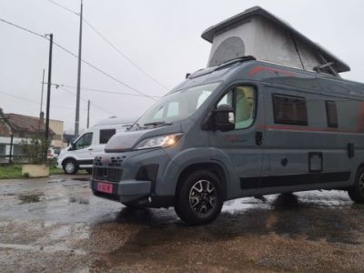 Roller Team Livingstone 6 XL Sport Limited LANZAROTE GREY