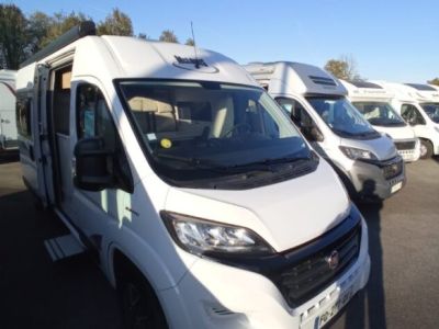 Mc Louis Menfys Van 3 yearling