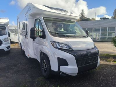 Giottiline Siena 330