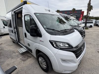 Mc Louis Menfys Van 3 YEARLING