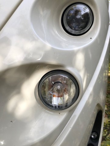 Florium Wincester 75 LMF Black Pearl - Photo 12