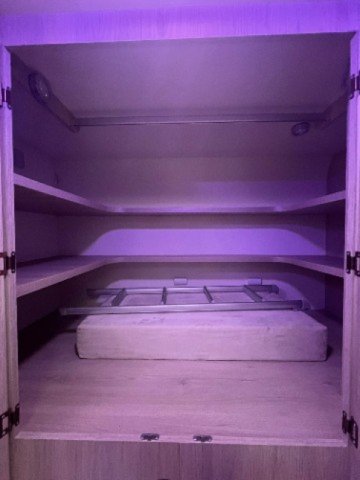 Challenger 290 Special Edition 290SPECIALEDITION - Photo 9