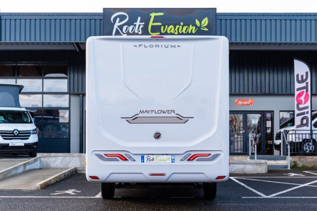 Florium Mayflower 70 LMF - Photo 4