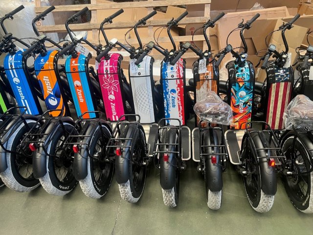 TROTINETTE ZOSH MOUNTAIN - Photo 3