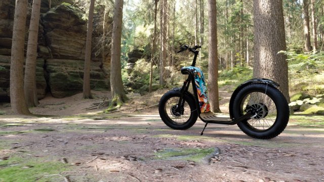 TROTINETTE ZOSH MOUNTAIN - Photo 4