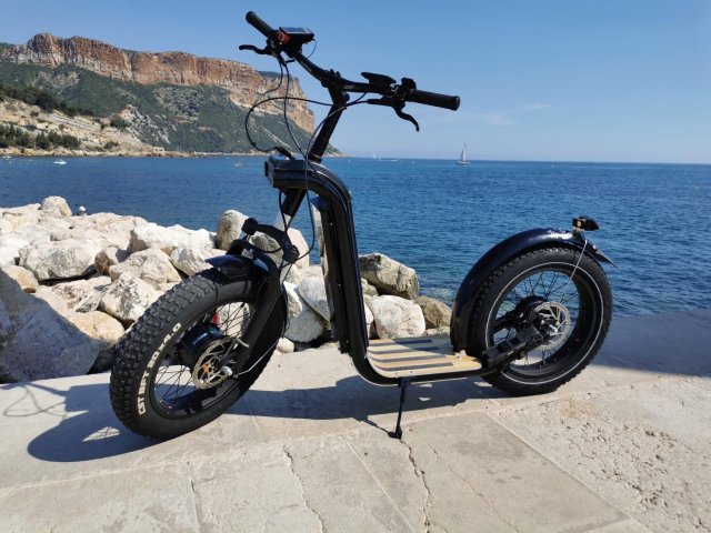 TROTINETTE ZOSH MOUNTAIN - Photo 6