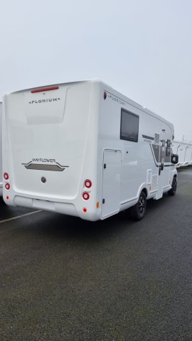 Florium Mayflower 74 LMF MILLENIUM - Photo 3