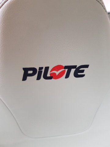 Pilote V 600 G X Edition Plus Série Spéciale - Photo 8