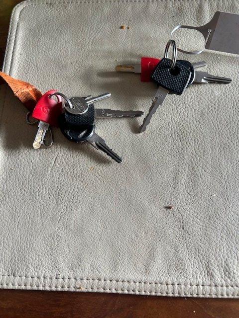 Roller Team Corfu Garage - Photo 25