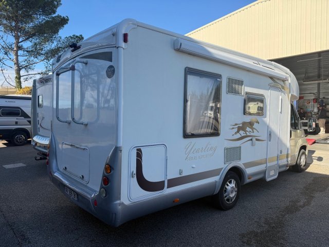 Mc Louis Yearling 72 - Photo 2