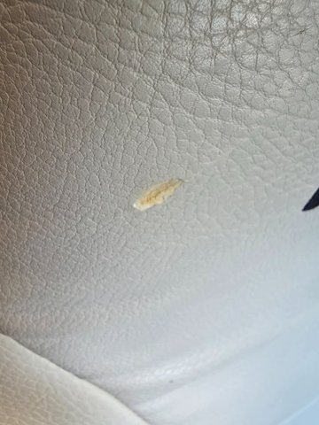 Pilote P 726 FC Evidence - Photo 17