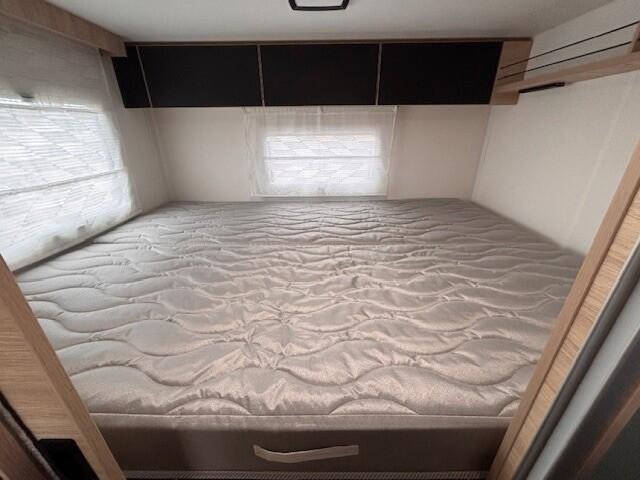 Challenger 384 Etape Edition - Photo 4