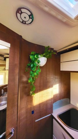 Mc Louis MC4 32 - Photo 16