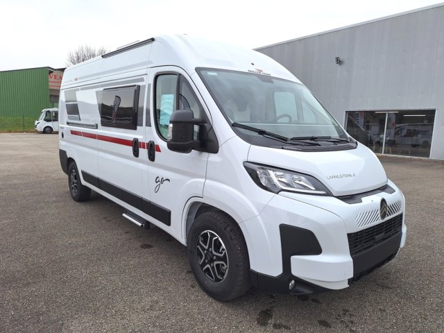 Roller Team Livingstone 2 Go Neuf