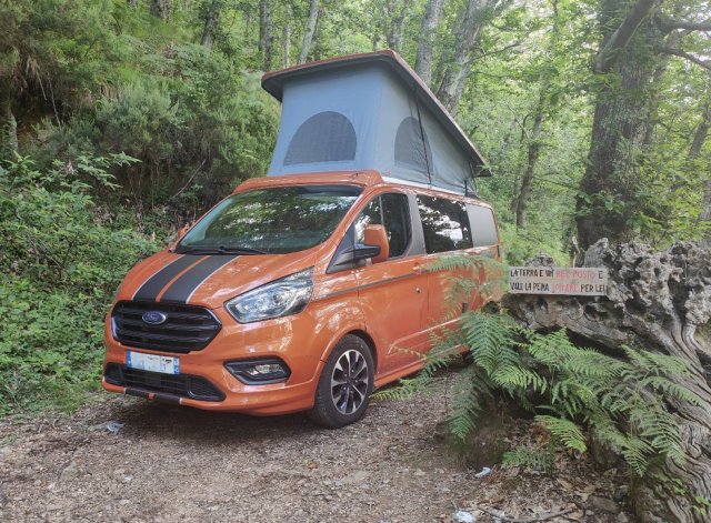 Panama Peak P10s - Photo 5