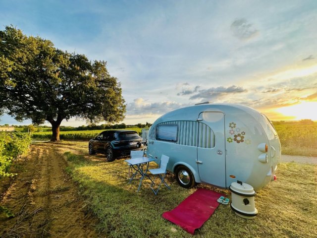 Barefoot Forward bleue - Photo 11