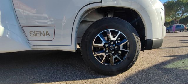 Giottiline Siena 330 