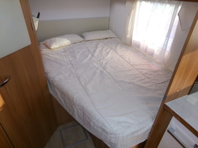 Fleurette Migrateur 64 LG MAGISTER - Photo 7