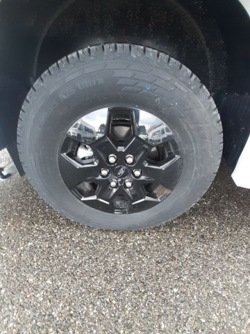 Benimar Tessoro 425 NORTHAUTOKAPP - Photo 10