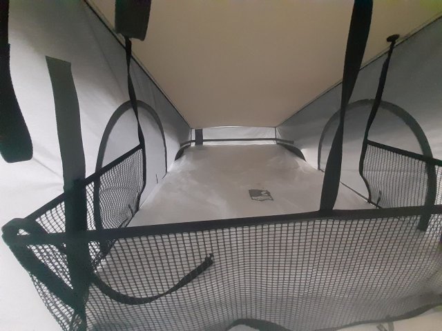 Dreamer D43 Up - Photo 35