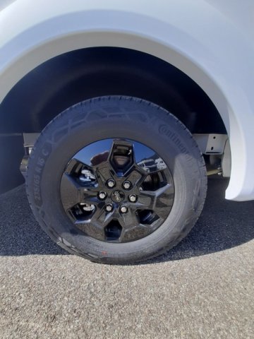 Etrusco V 6.8 SCF V6.8 - Photo 9