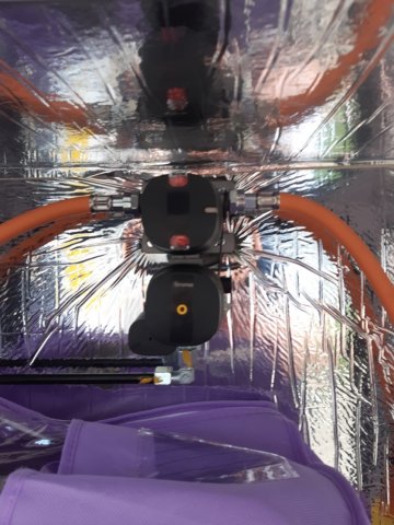 Fleurette Migrateur 65 LJG - Photo 9