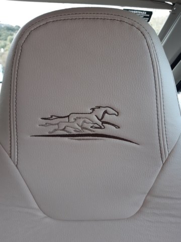 Mc Louis Yearling Van 3 20 ANNIVERSAIRE - Photo 14