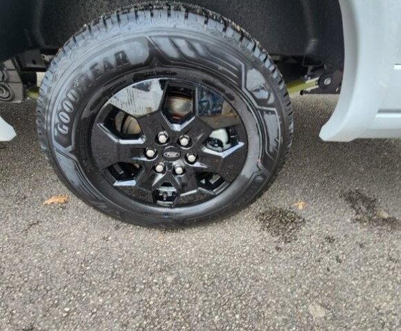 Bavaria Qwest 650 D q 650d - Photo 29