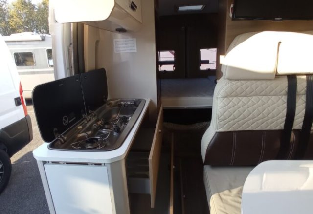 Mc Louis Menfys Van 3 yearling - Photo 2