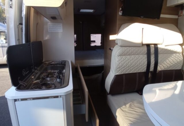 Mc Louis Menfys Van 3 yearling - Photo 3