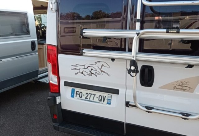 Mc Louis Menfys Van 3 yearling - Photo 4