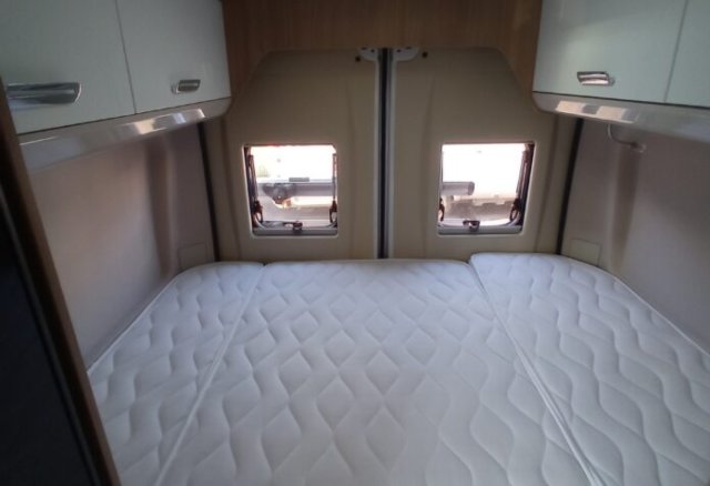 Mc Louis Menfys Van 3 yearling - Photo 5