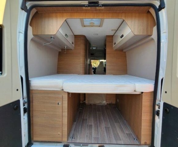 Mc Louis Menfys Van 3 yearling - Photo 10