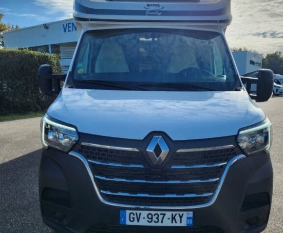 Mc Louis Yearling 89 G 89g - Photo 8