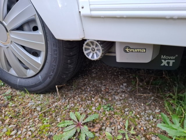 Silver Trend 380 2023 - Photo 4