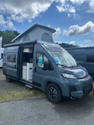Roller Team Livingstone 7 Sport Limited Neuf