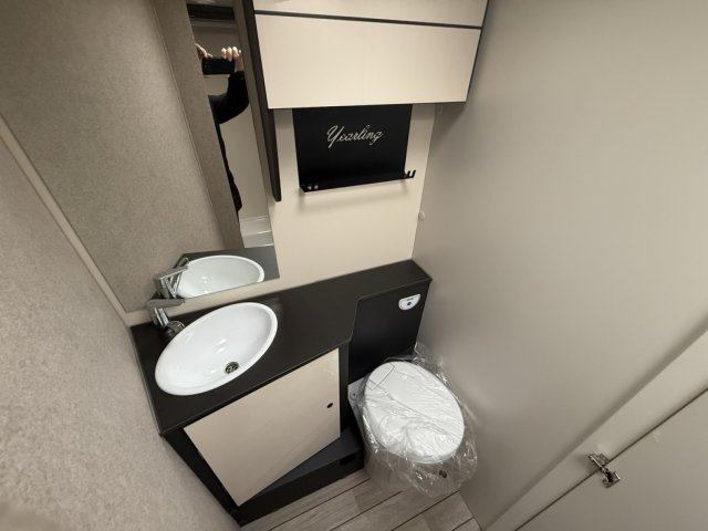 Mc Louis Yearling 81 - Photo 6