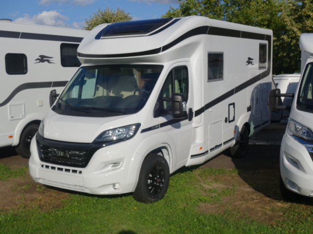 Laika Ecovip L 2009 Neuf