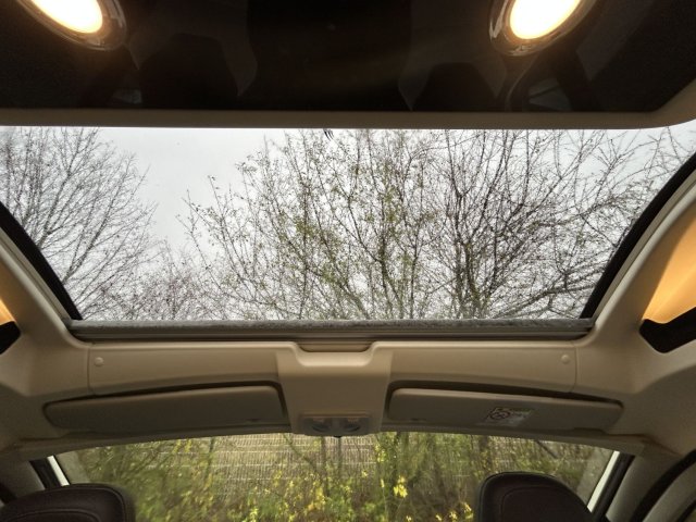 Dreamer D55 Exclusive - Photo 12