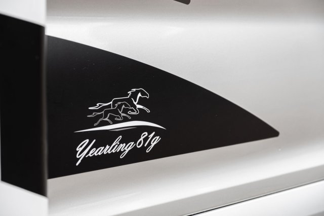 Mc Louis Yearling 81 G mc4 81g – (boîte auto) – 4 places – ultra équipé lit central - Photo 133