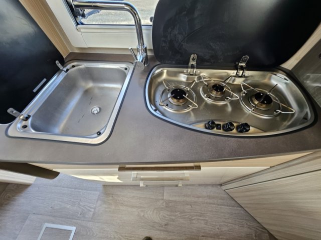 Fleurette Migrateur 60 LG FLORIUM 60LG - Photo 6