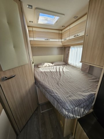 Fleurette Migrateur 60 LG FLORIUM 60LG - Photo 12