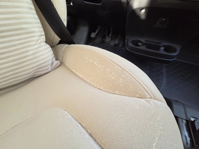 Rapido 8096 DF Premium Edition 2020 - Photo 26