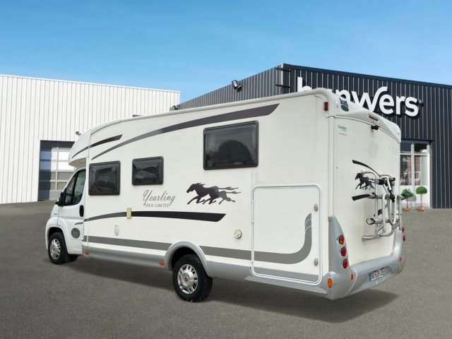 Mc Louis Yearling 73 G - Photo 2