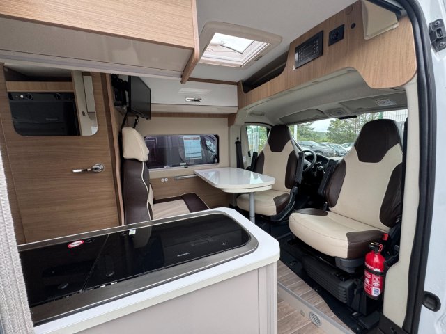 Mc Louis Menfys Van 3 YEARLING - Photo 2