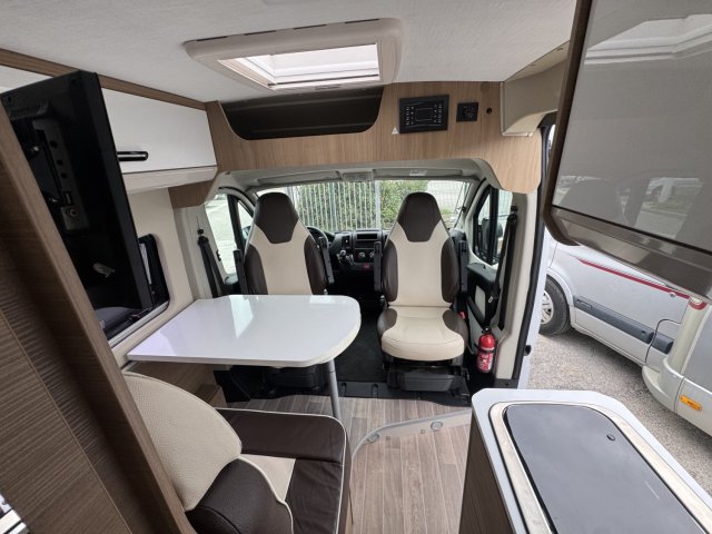 Mc Louis Menfys Van 3 YEARLING - Photo 7