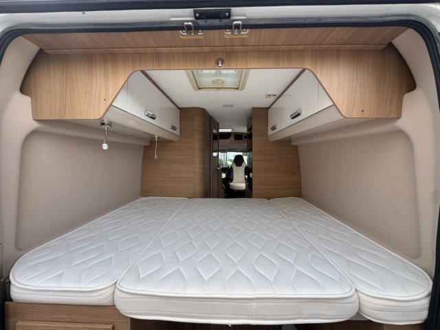 Mc Louis Menfys Van 3 YEARLING - Photo 9