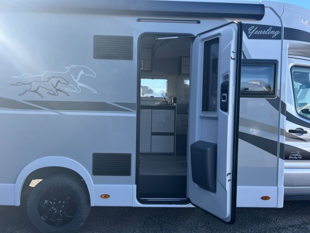 Mc Louis Yearling 81 - Photo 9