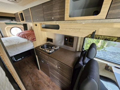 Carriage RV Sequoia FOREST - Photo 10