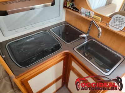 Fleurette Migrateur 73 LJ - Photo 6